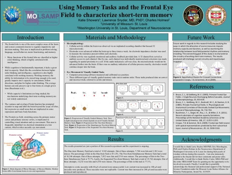 Using Memory Tasks and the Frontal Eye Field to characterize short-term memory